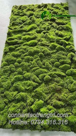 RÊU ĐÁ NỔI VỪA