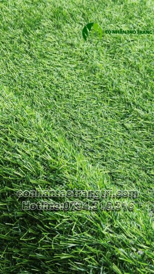 CỎ SÂN VƯỜN MV02R