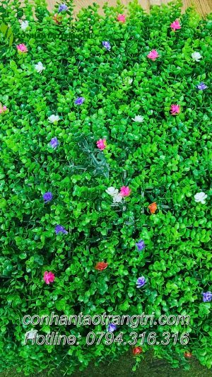 VĨ CỎ TAI CHUỘT GẮN HOA  NHÍ