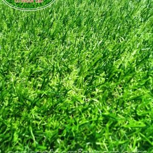 Thảm cỏ nhân tạo sân vườn MVNC-02T