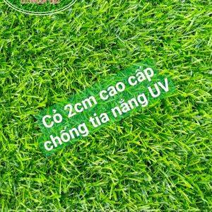 Thảm cỏ nhân tạo sân vườn MVNC-02C