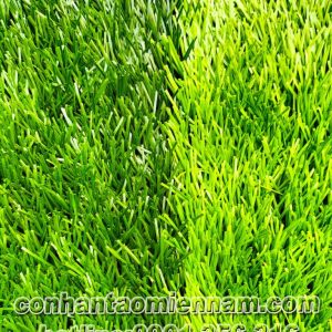 Thảm cỏ nhân tạo sân bóng MBD03-130C